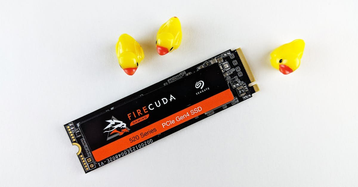 Laptop na turbo: jaki SSD wybrać? Poradnik formatów, interfejsów i opłacalności